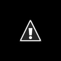 Disney Pixar Finding Dory